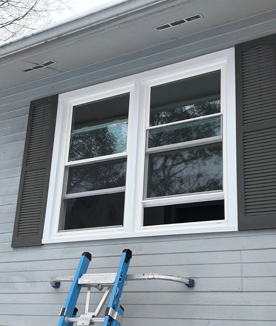 gray house with a blue ladder