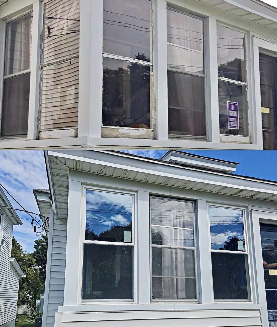 window with tree and lake view