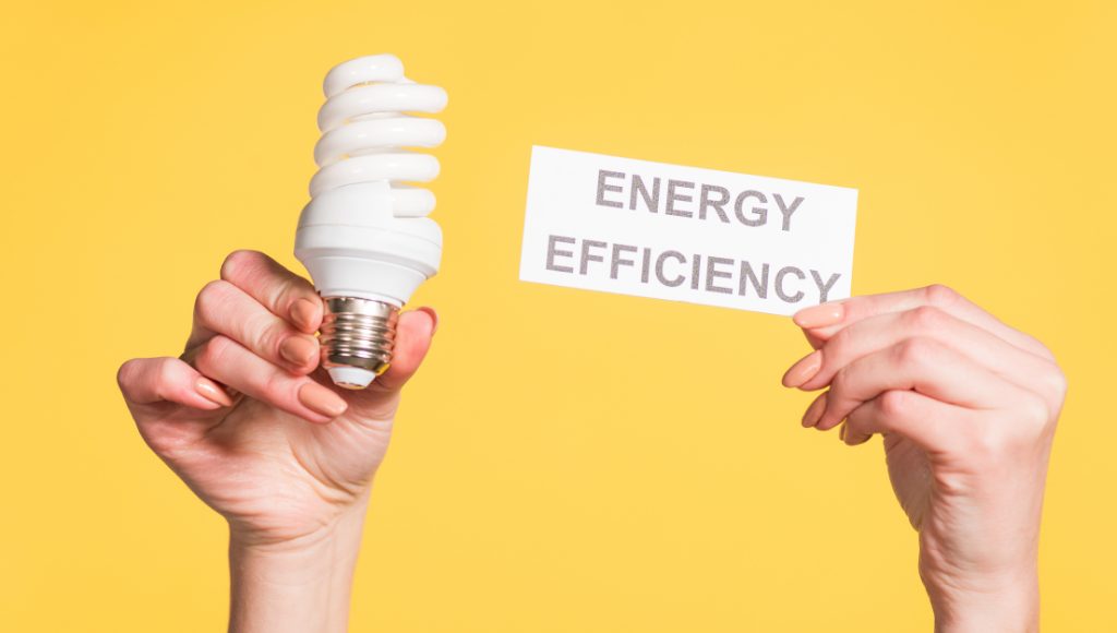 A yellow background with two hands, one holding an energy-efficient lightbulb, the other, a sign that reads "Energy Efficiency."