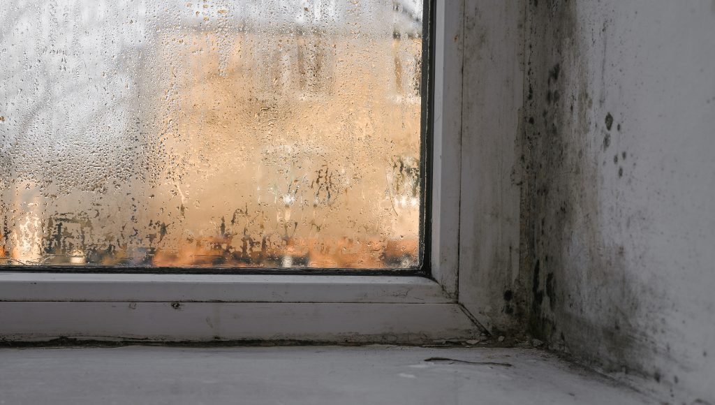 Moisture damage and mold growth on the window sill from a single-pane window filled with condensation.